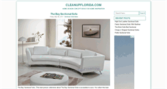 Desktop Screenshot of cleanupflorida.com